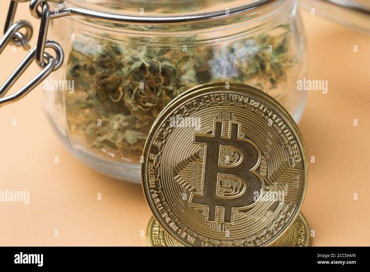 bitcoin dark web