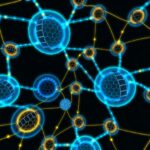 Best Darknet Market For Psychedelics