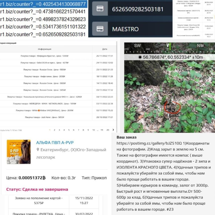 Darknet Drug Markets 2023