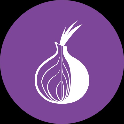 .onion dark web