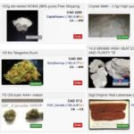 Buying Things From Darknet Markets