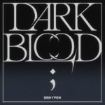 Dark Web Login Guide
