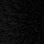 Black Market Websites 2023