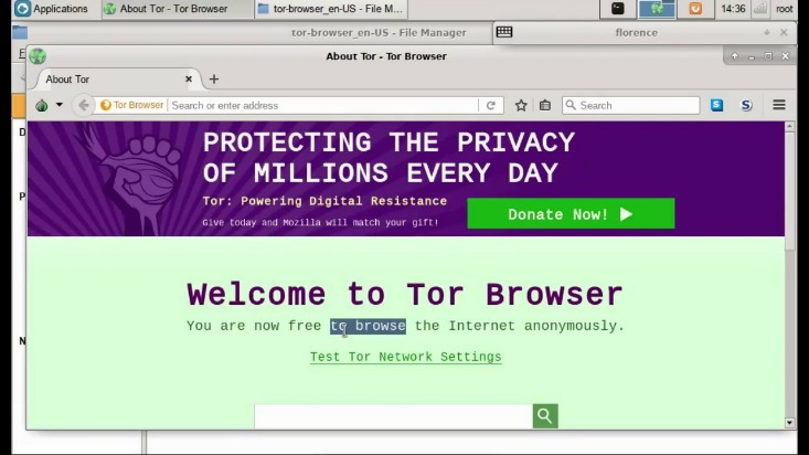 dark web search engine onion