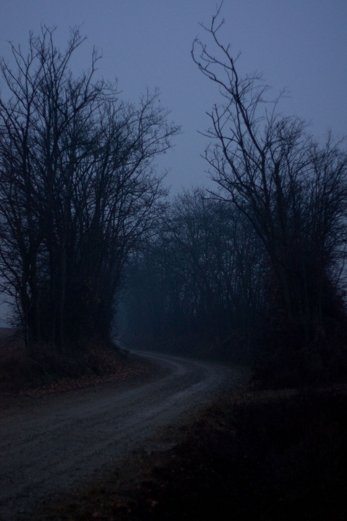 dark website