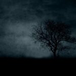 Dark Markets Albania