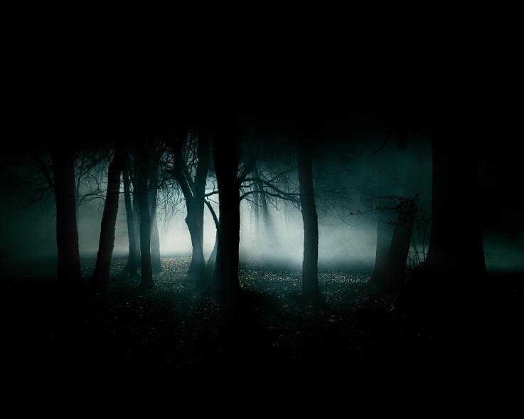 dark markets albania