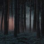 Dark Web Website Links