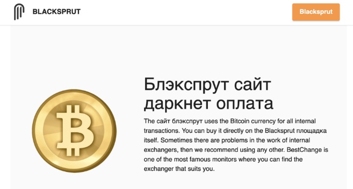Accessing Darknet Market