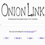 Abacus Link