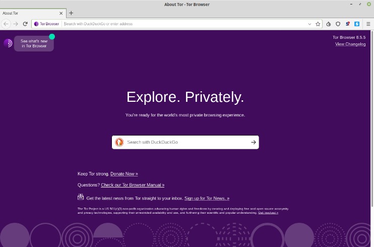 black market dark web links