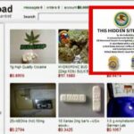 Black Market Credit Card Dumps