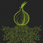 Dark Web Social Security Number