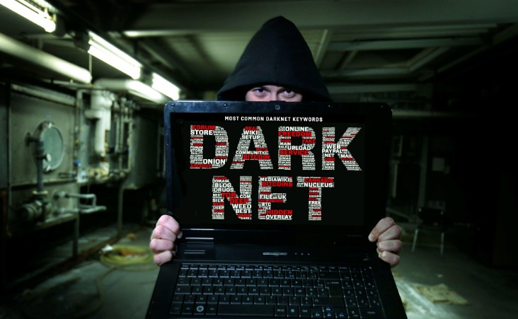 best fraud market darknet