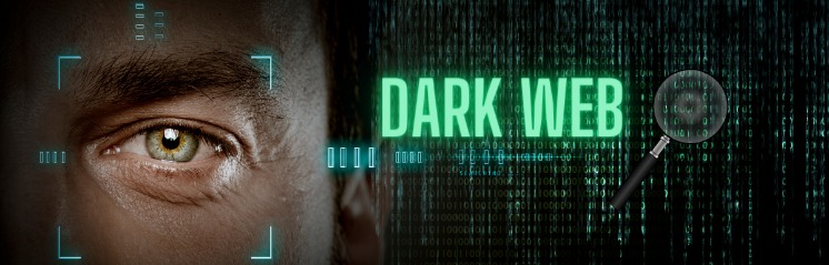 dark web searching