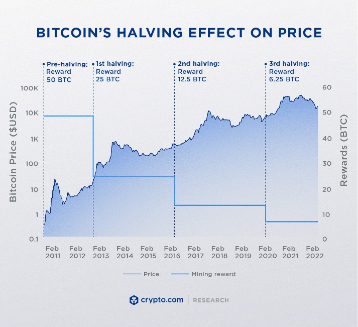 bitcoins and darknet markets