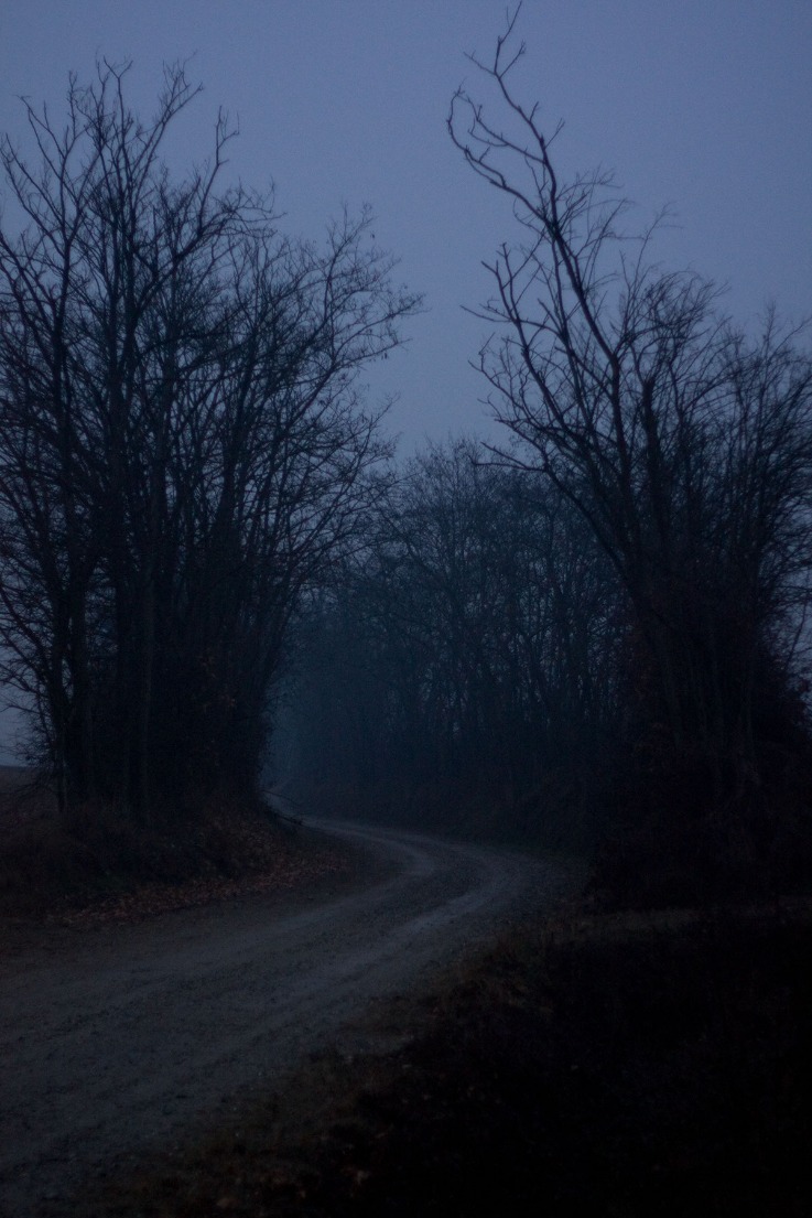 dark websites