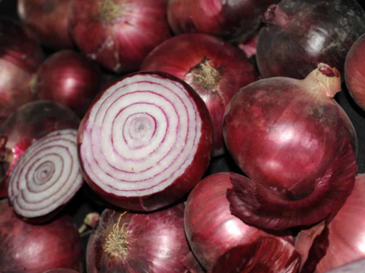 ares onion