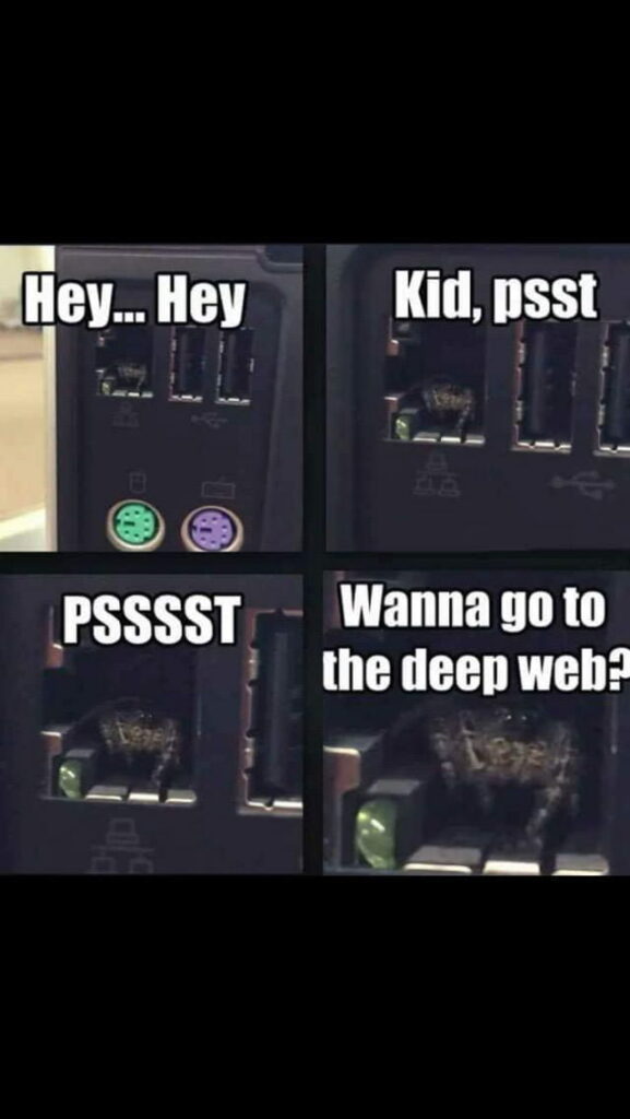 Dark Web Porn Link