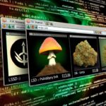 Best Darknet Market For Weed 2025